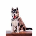 MemoPortrait - Image 12