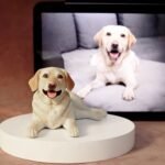 MemoPortrait - Image 11